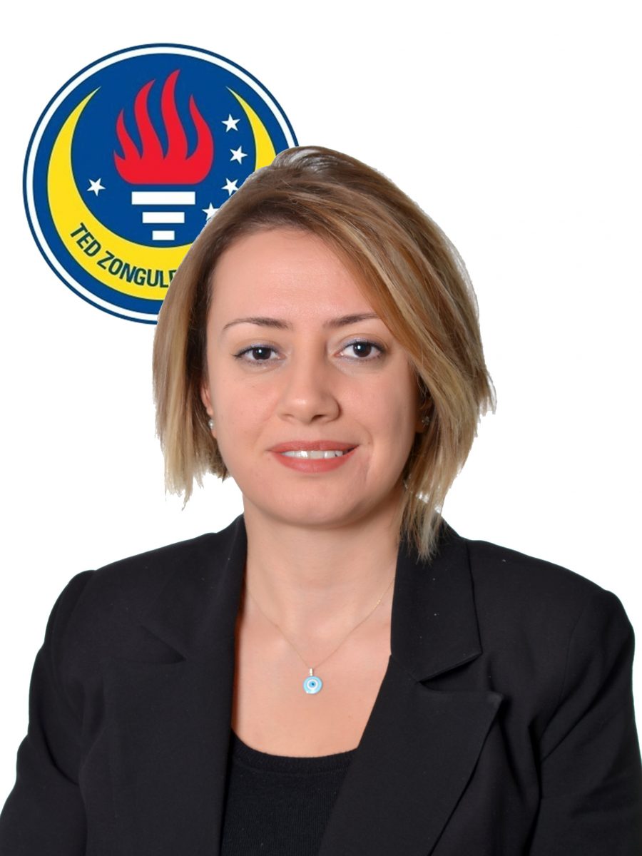 186464-gizem-cakir-matematik